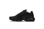 Кроссовки Nike Air Max Plus
