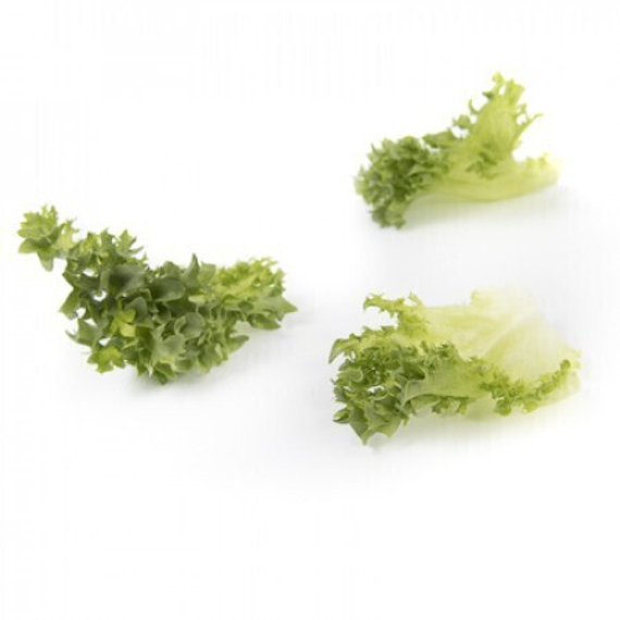 ЛАЛИК семена салата Rijk Zwaan характеристика – фото 11