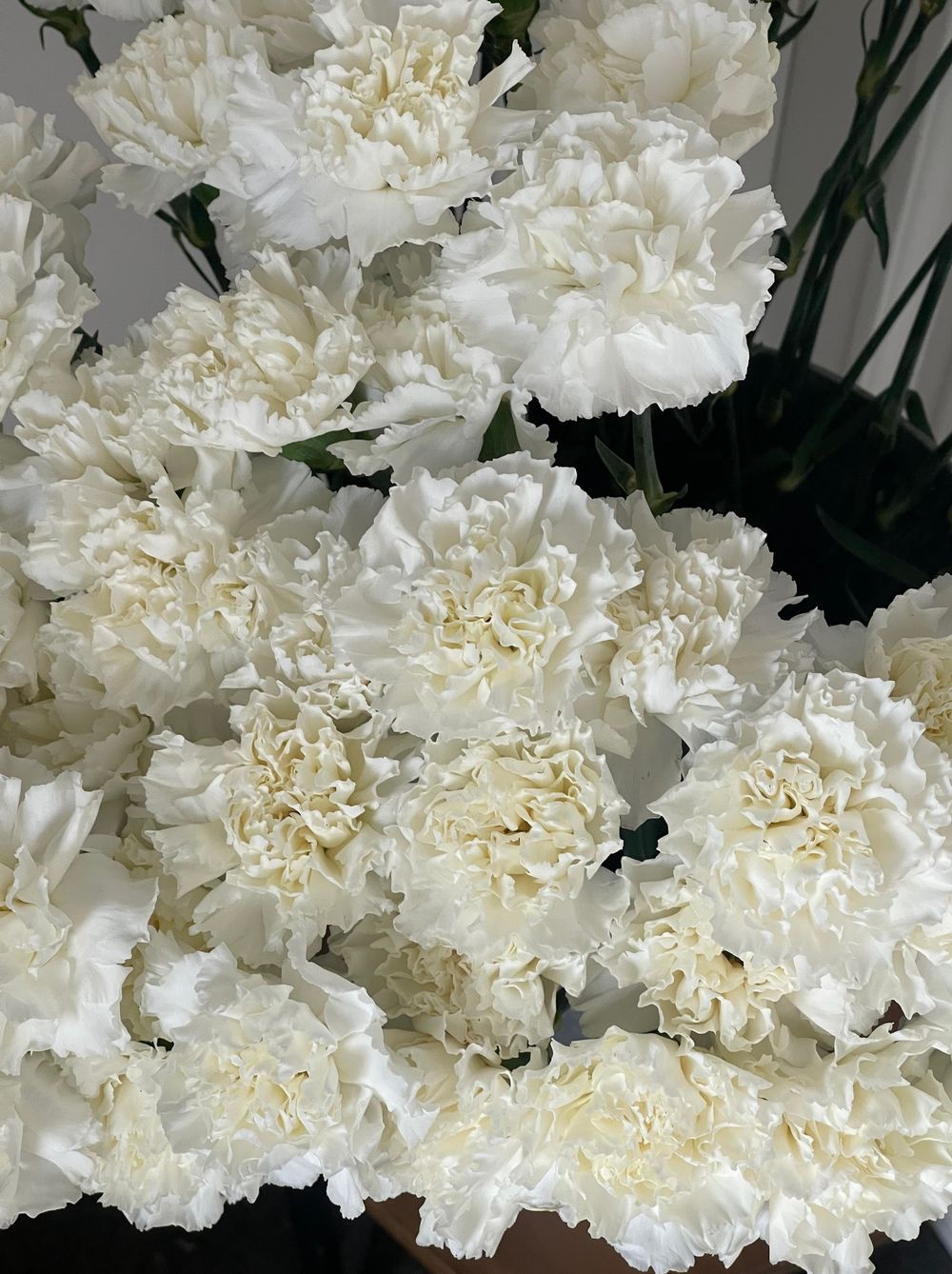 Диантус в белом оттенке