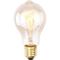 Лампа накаливания Arte Lamp Bulbs 60W E27 прозрачная ED-A19T-CL60