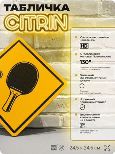 Табличка декоративная "Настольный теннис, пинг-понг" на дверь и стену, спортивная, информационная, декоративный знак, 24,5х24,5 см, пластиковая, Айдентика Технолоджи