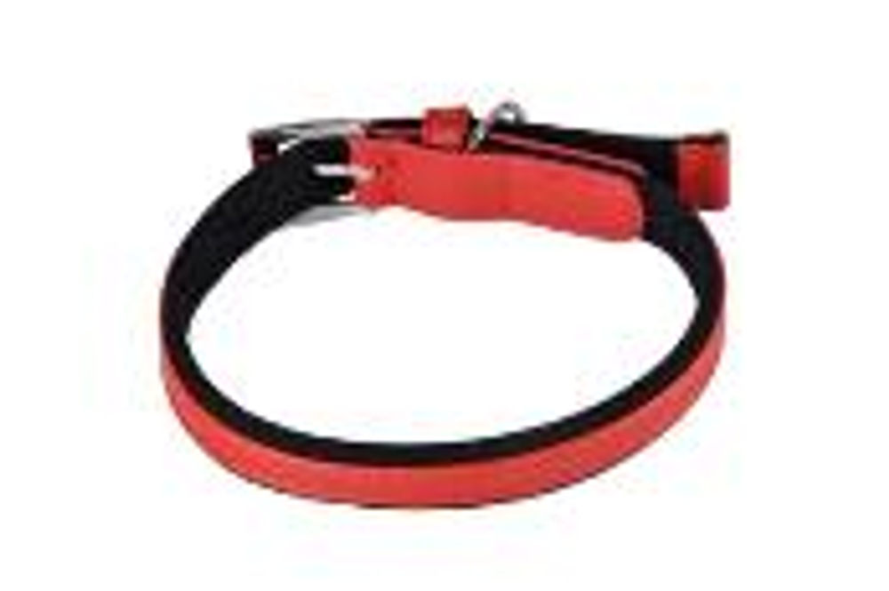 Ошейник NUNBELL для собак 47х2см микс (30919-0188)