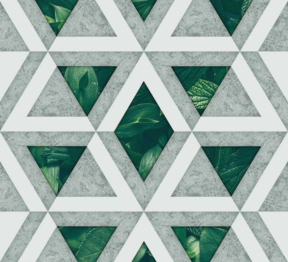 Коллекция GREENDAY