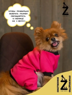 Комбинезон для собак кошек сфинкс кофта костюм для животных