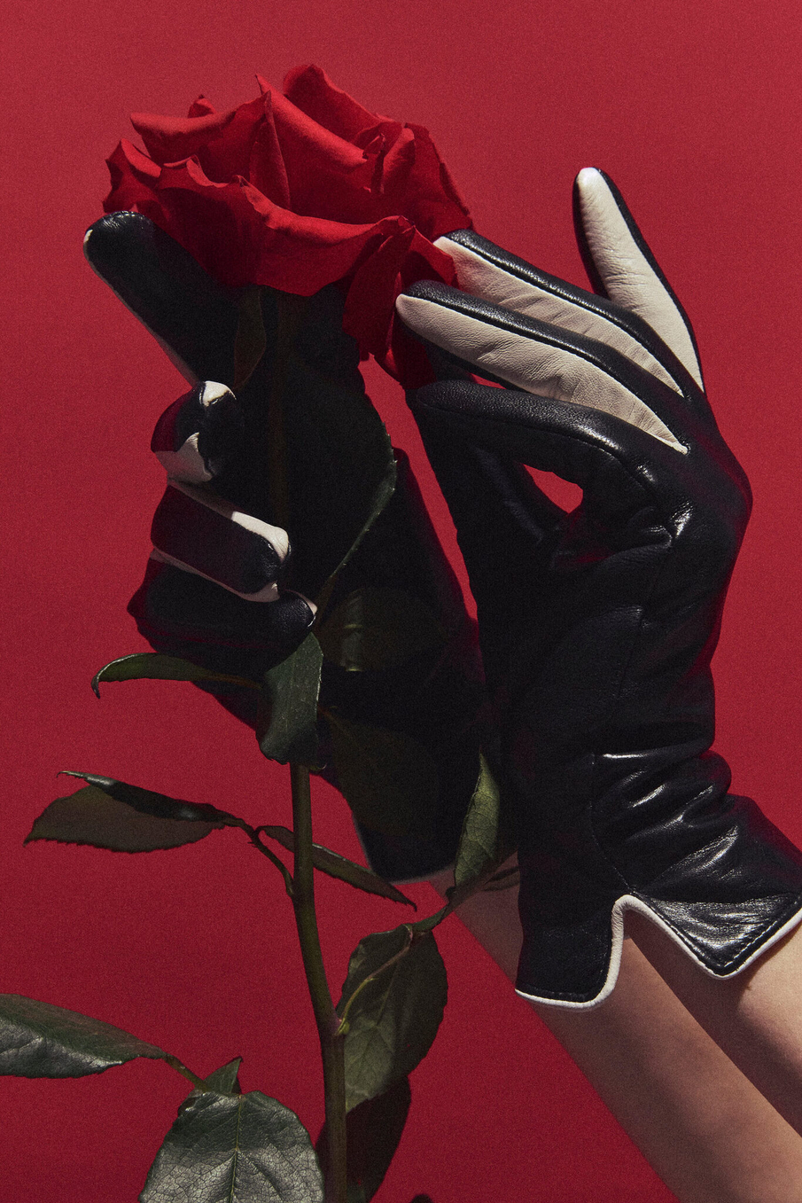 Перчатки CRUELLA