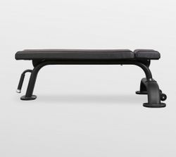 Скамья горизонтальная Bronze Gym BR-1002