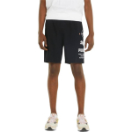 Шорты Puma Logo, 536943-01