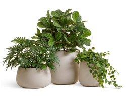 Кашпо TREEZ Effectory - Beton - Design-Чаша - Белый песок
