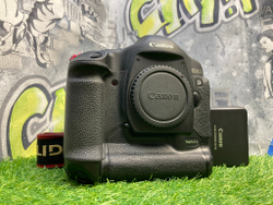 Canon EOS 1D Mark II (156.000 кадров)