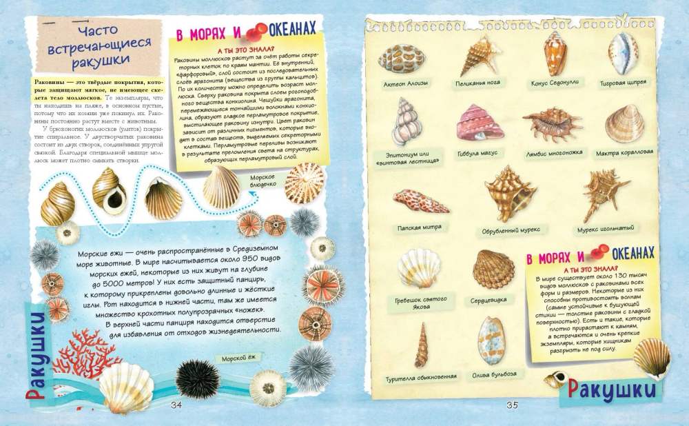 Большой подарок для девочки. Энциклопедия для настоящих девчонок