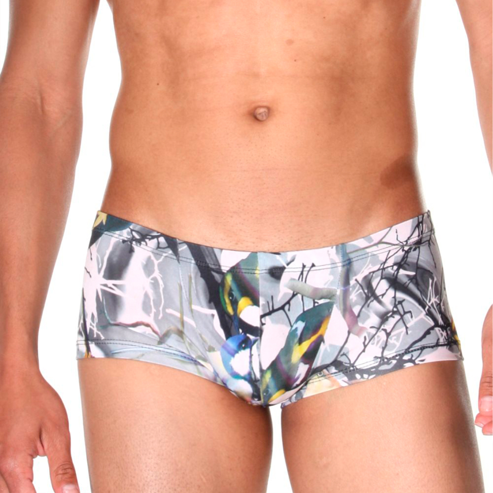 Мужские трусы боксеры серые с принтом Cosmos Colors TW30_BBY