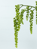 Ампельные грозди силикон