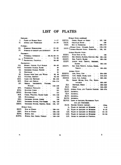 Amulets. Illustrated by the Egyptian collection in University College, London | W. M. Flinders Petrie