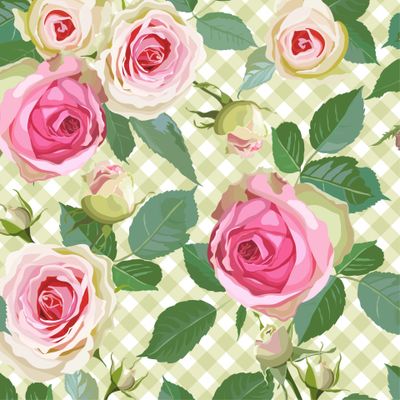 Розовые розы на зеленой клетке