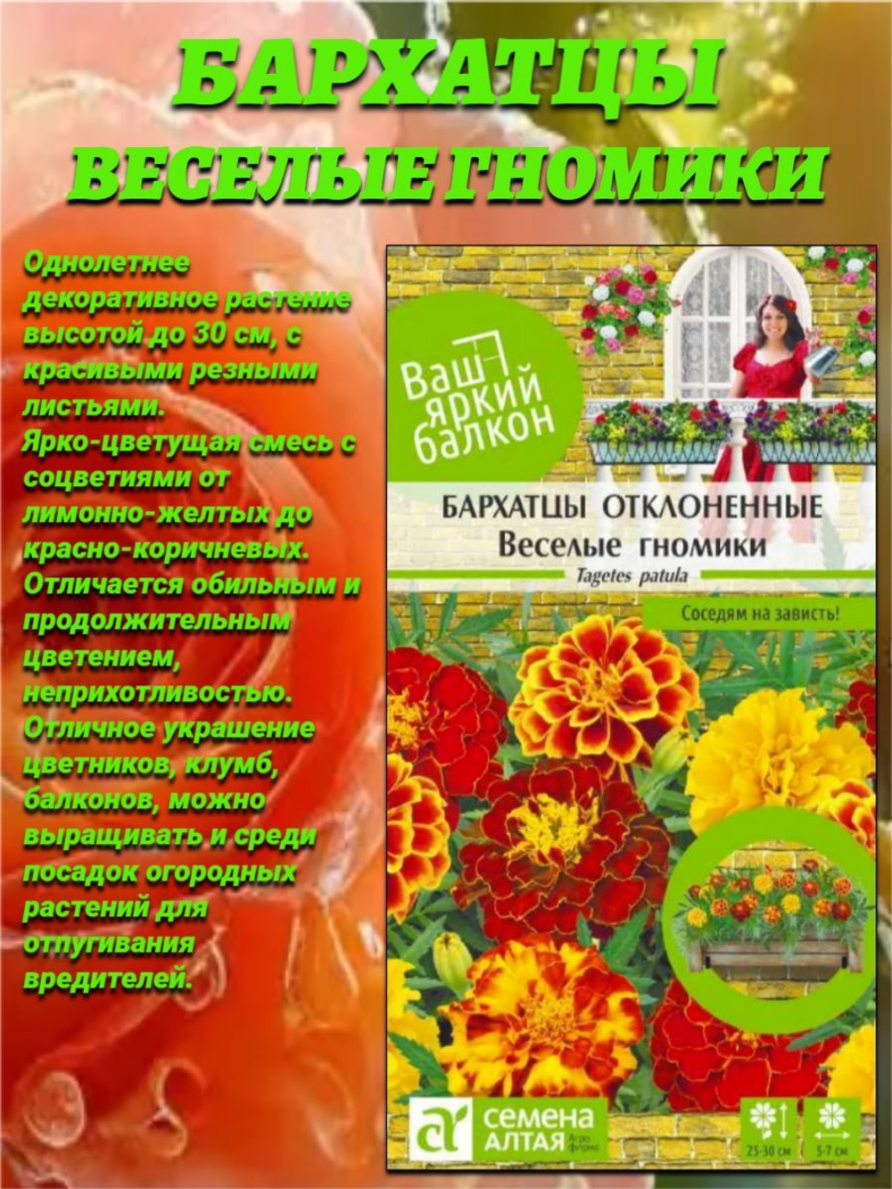 Великолепная смесь окрасок: виола, алиссум, лобелия, бархатцы, петуния