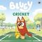 Bluey Cricket