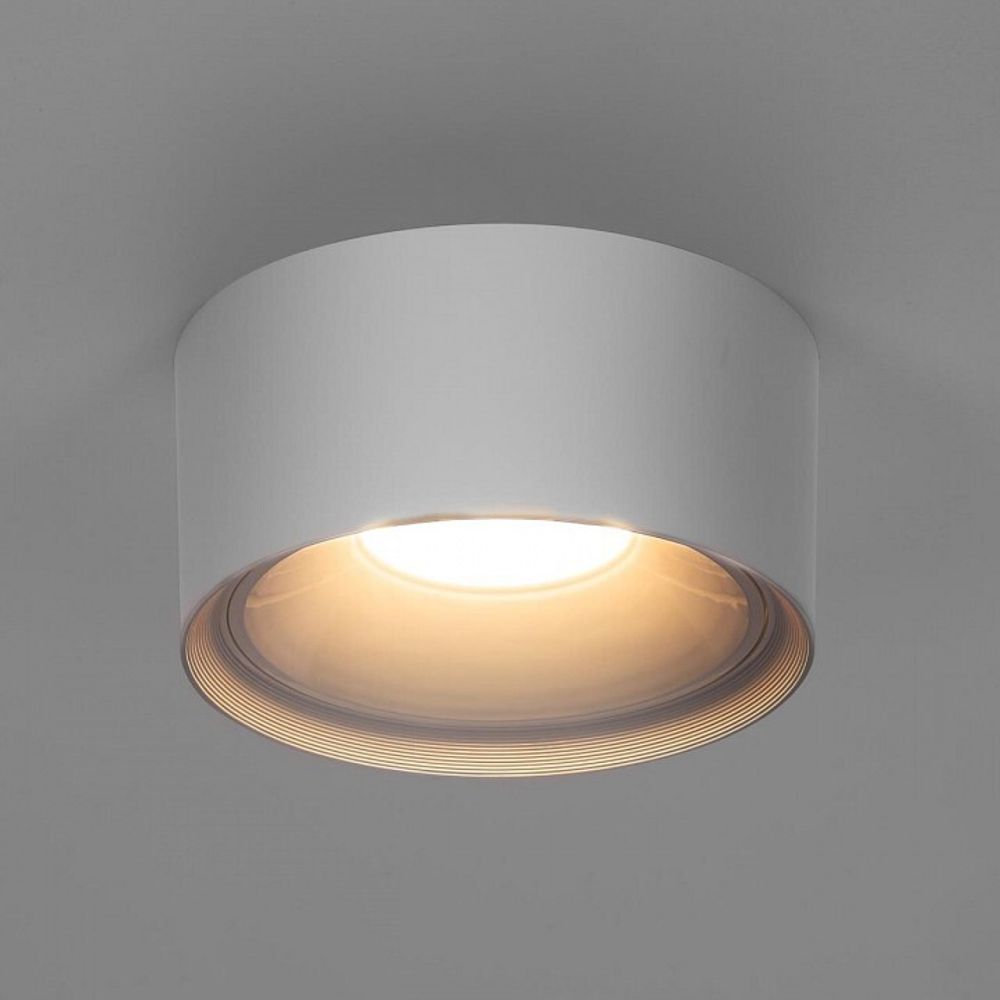 Накладной светильник Citilux Rover CL743090N