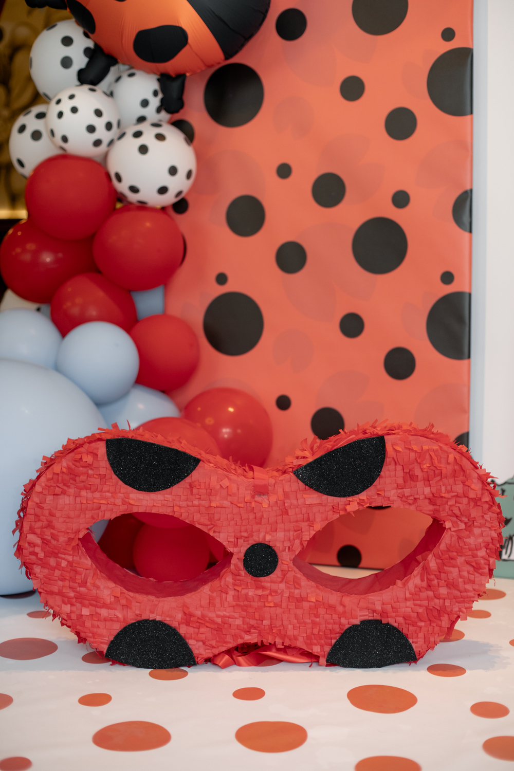 Lady Bug Party