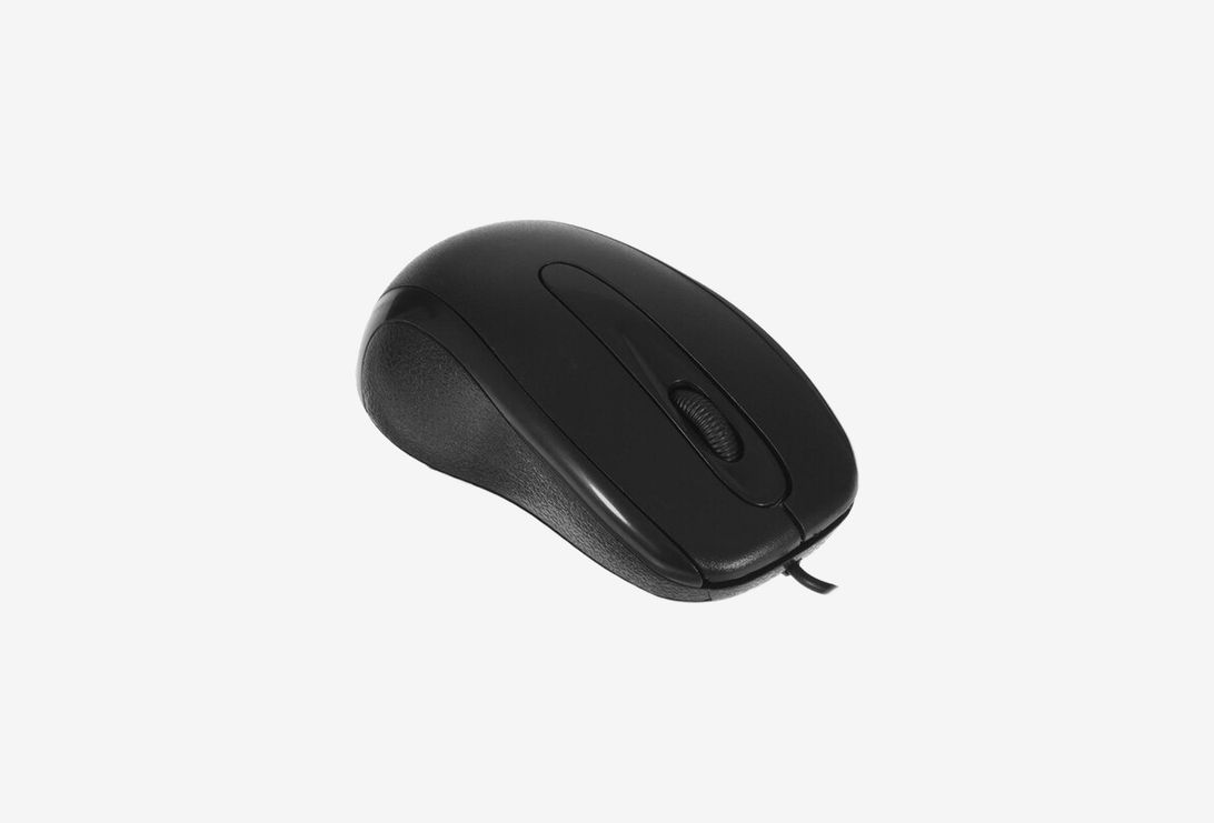 EX264099RUS_0226326100957