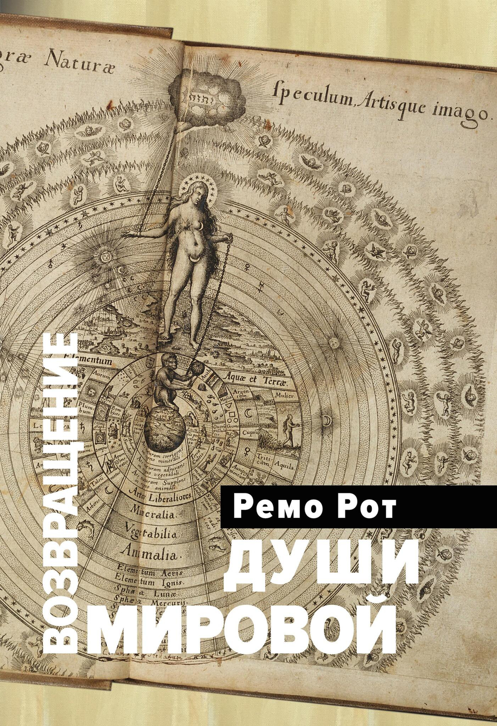 Возвращение Мировой души. Юнг, Паули и вызов психофизической реальности