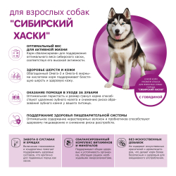 Корм сухой для взрослых собак породы Сибирский хаски, премиум полнорационный комплекс, с говядиной, 2,5 кг, QUATTRO