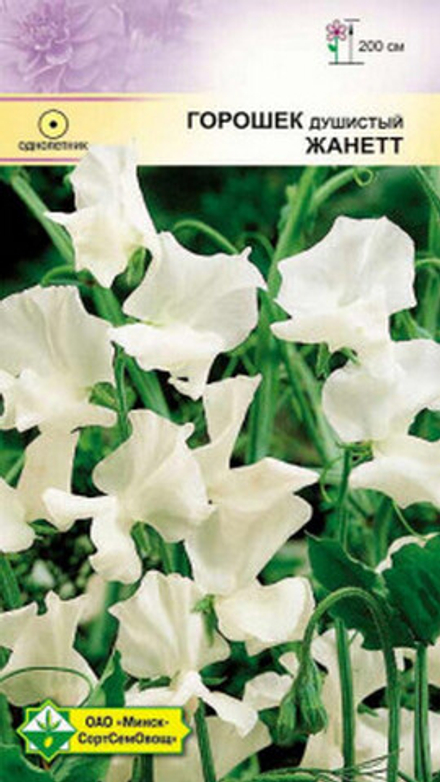 Горошек душистый "Жанетт" 1,5г., Германия.