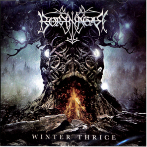 Borknagar / Winter Thrice (RU)(CD)