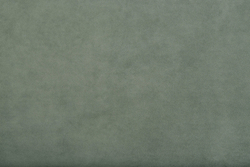 Микровелюр Moss shalfei (Мосс шалфей) 06