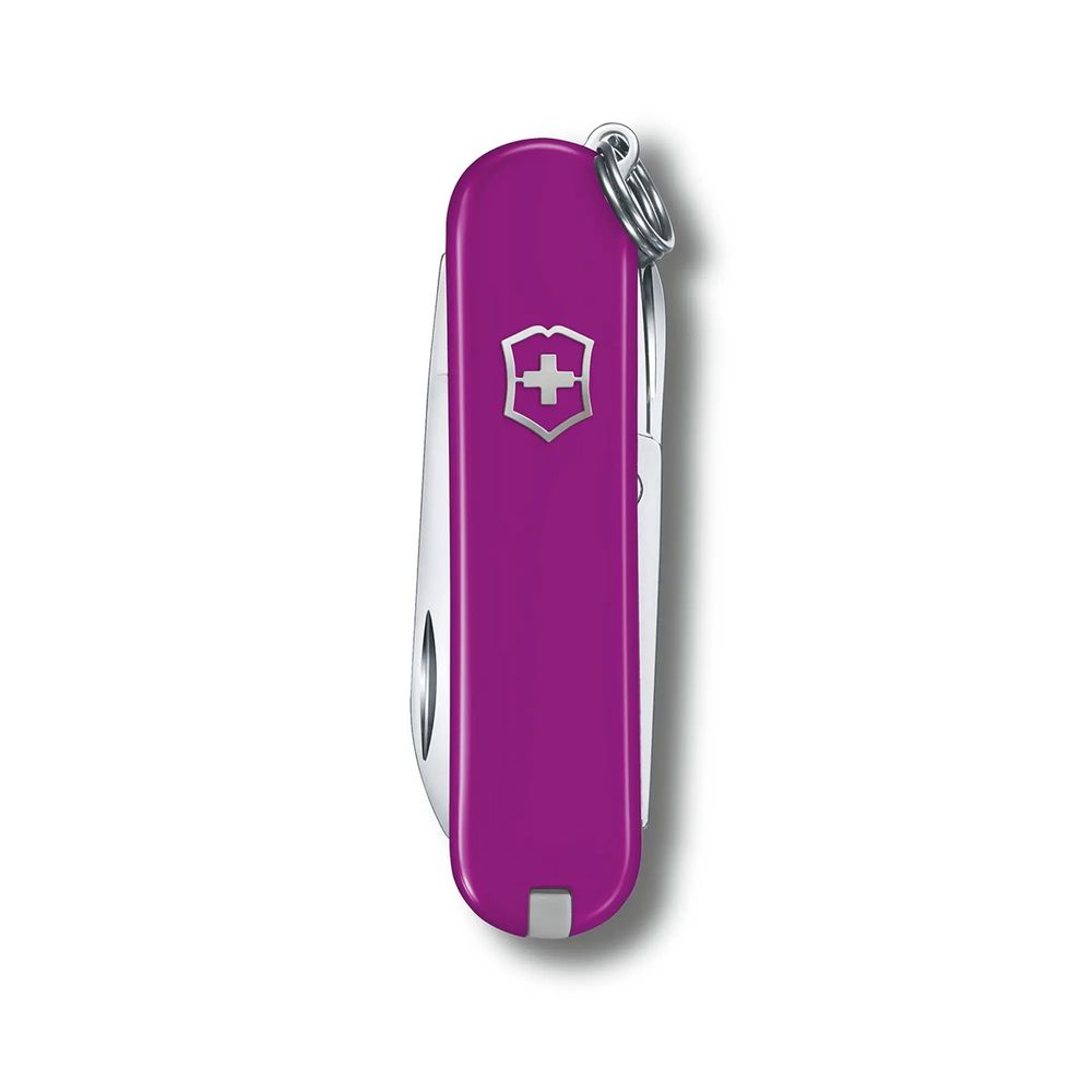 Нож Victorinox 0.6223.52G Tasty Grape