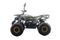 Квадроцикл MOTAX ATV Grizlik Premium 125cc