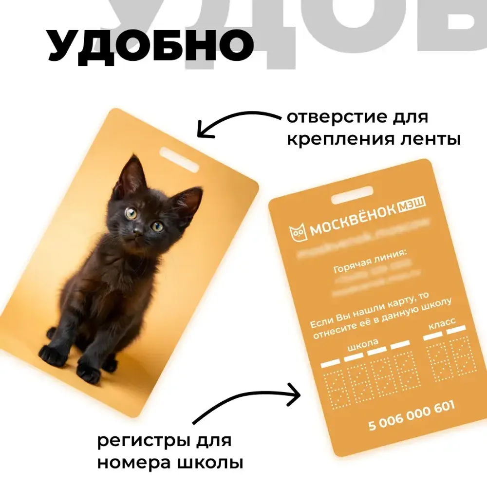 Карта Москвёнок CATS №3 (проход + питание)