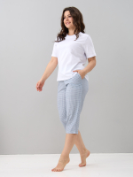 Бриджи Д-6/клеткамелкая-серая