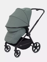 Прогулочная коляска Rant Moss 2025