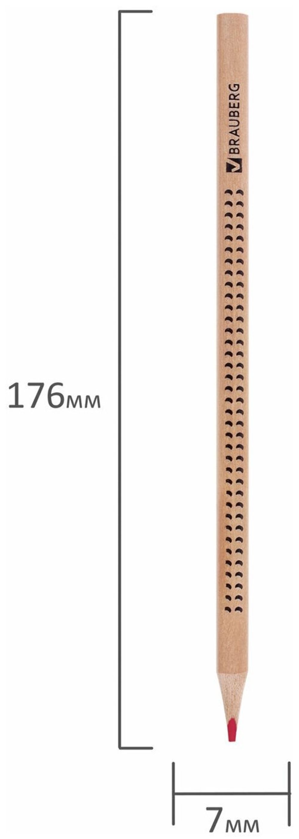Карандаши цветные BRAUBERG "ЦВЕТЫ", 24 цвета, трехгранные заточенные, лакированное дерево, 181368
