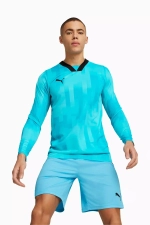 Вратарская кофта Puma teamTarget GK LS