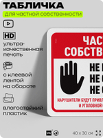Табличка для частной территории "Частная собственность", на дом, для участка, организаций, предупреждающая, 40х30 см, Silver Plane x Айдентика Технолоджи
