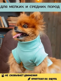Футболка для собак мелких средних пород и кошек