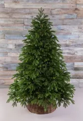 Ель Коттеджная 305 см., литая хвоя+пвх, TreeDeLux (70076)