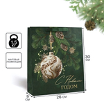 Пакет вертикальный "С Новым годом.Ёлочные игрушки" 26×30×9см (Дарите Счастье)