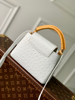 Louis Vuitton Capucines Mini