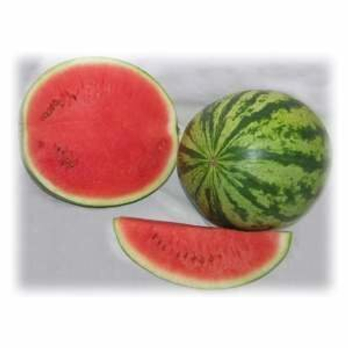 Арбуз Юлия F1