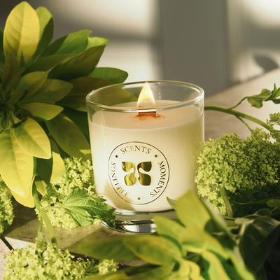 Свеча в стеклянном стакане 320 мл, «Лемонграссовый туман»