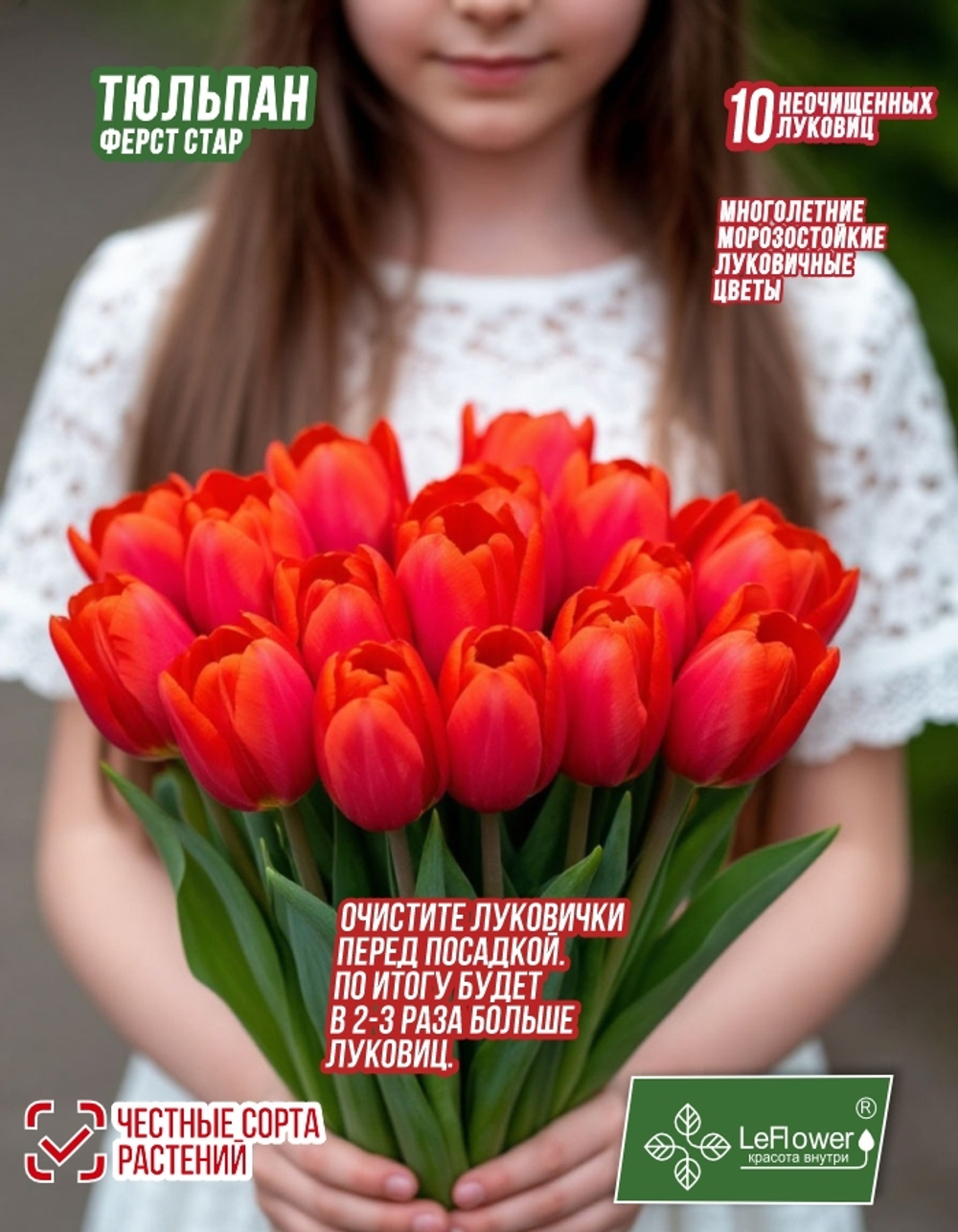 Тюльпан Ферст Стар 10 луковиц,Голландия