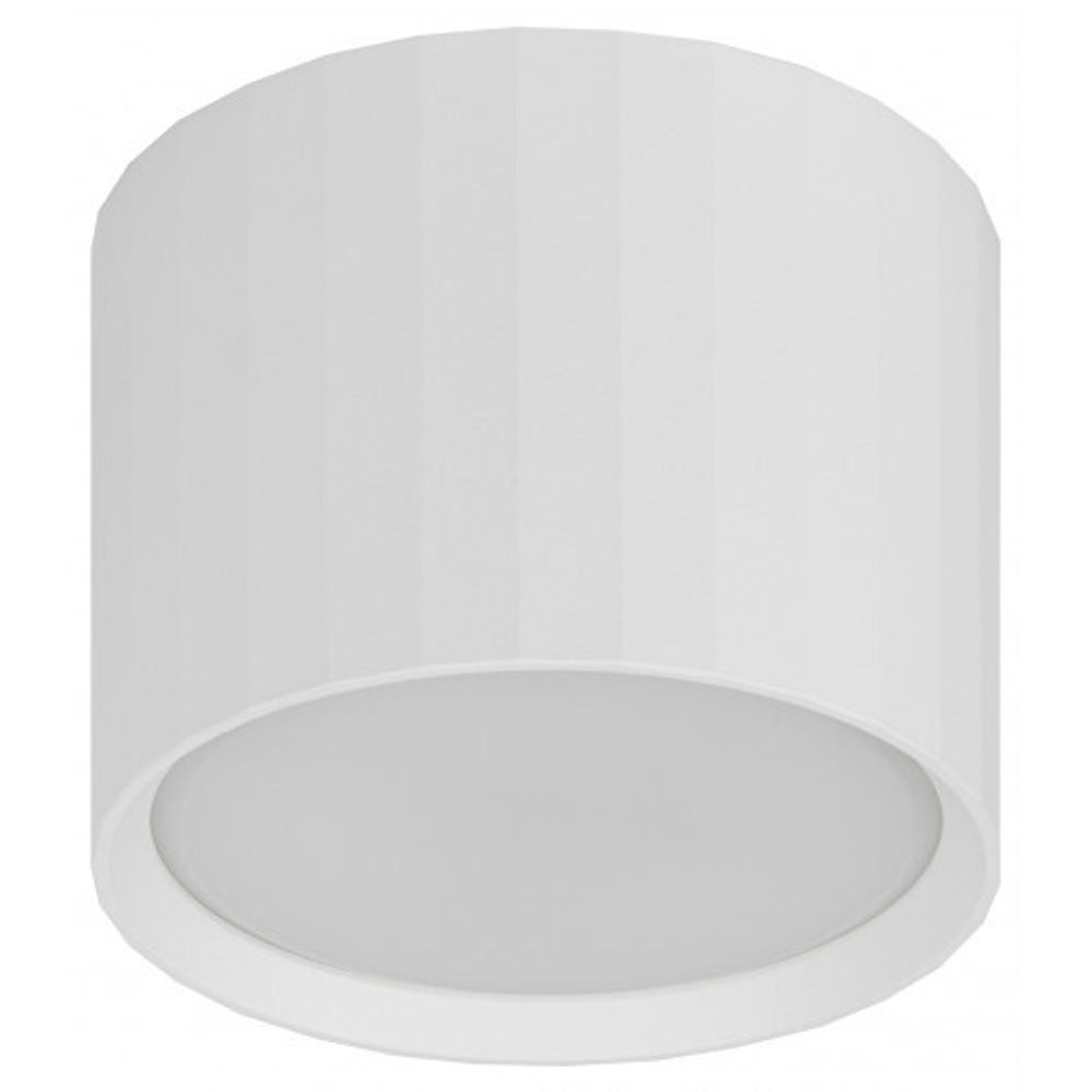 Светильник настенно-потолочный спот ЭРА OL39 WH под GX53 IP20 белый