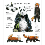 НОВИНКА! Тетрадь общая 48 листов на скрепке "Зарисовки. Дикая природа"