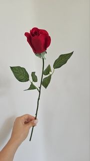 Роза