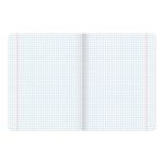 Тетрадь предметная ЗОЛОТО 48 л., конгрев, фольга, лак, ФИЗИКА, клетка, АЛЬТ, 7-48-992/01