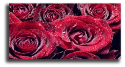 Постер "Розы"