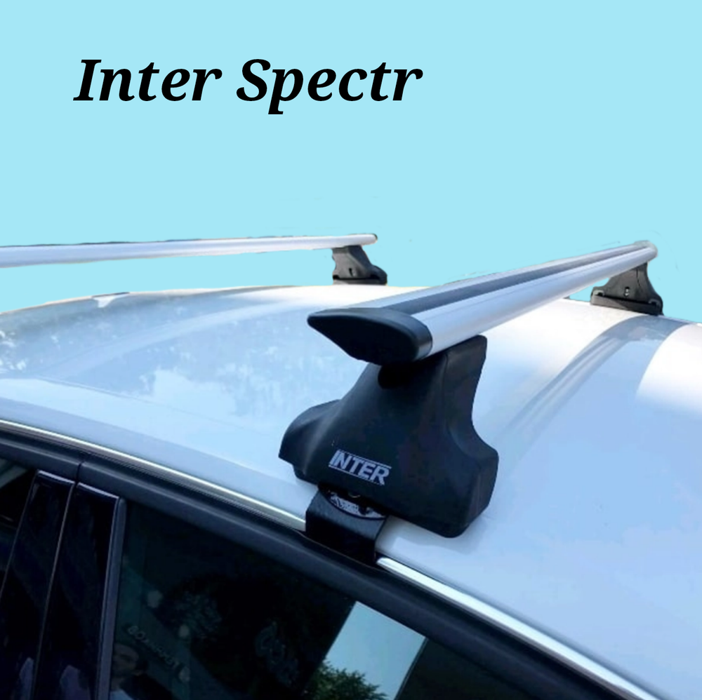 Багажник Интер Спектр на Renault Kaptur 2016-2022  за дверной проем крыловидные дуги 120 см.