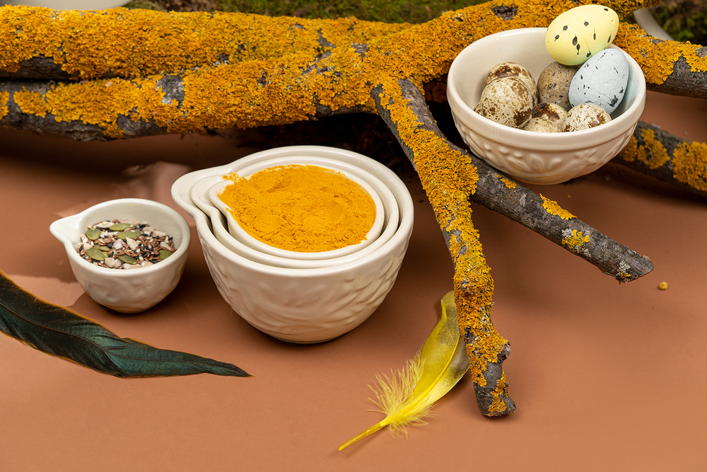 Набор чаш 2шт 190мл Liberty Jones Birds of Paradise кремовый